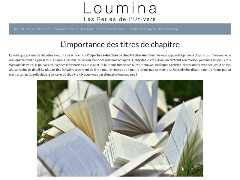 Loumina, un roman de science-fiction écrit par Simon Laroche