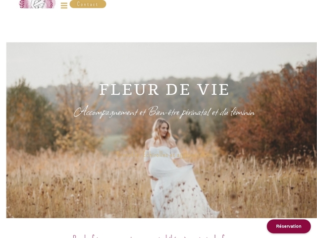 Fleur de vie 