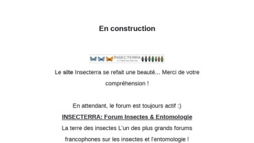 Page d'accueil du site : Insecterra