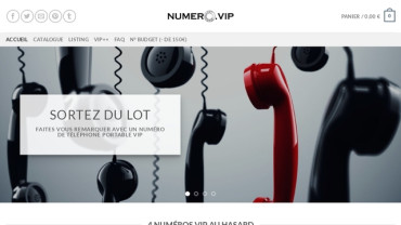 Page d'accueil du site : Numéro VIP